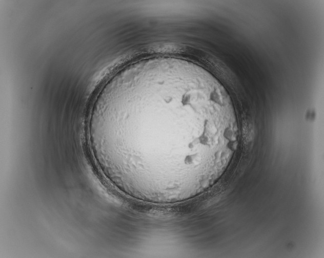 X0000115420725200911171422