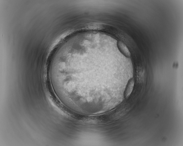 X0000115420726200911171422