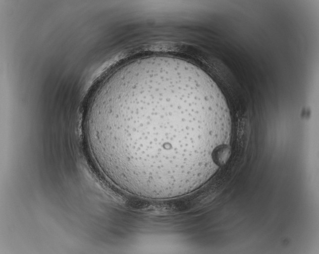 X0000115420727200911171422
