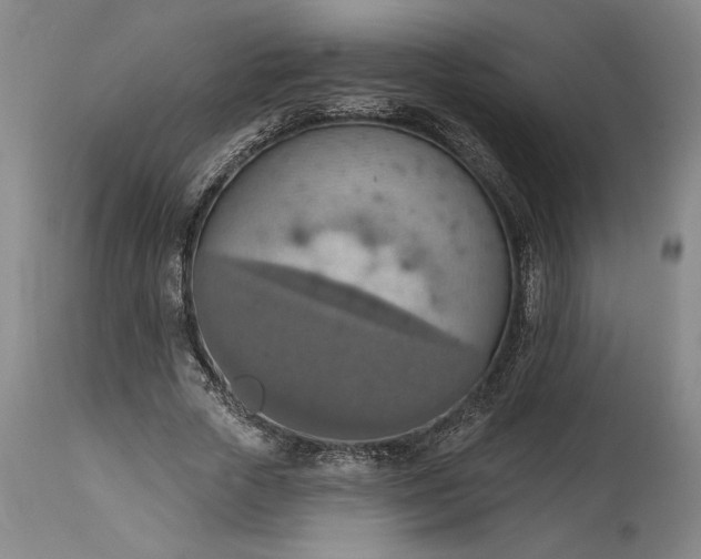 X0000115420729200911171422