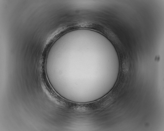 X0000115420730200911171422