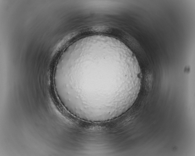 X0000115420734200911171422