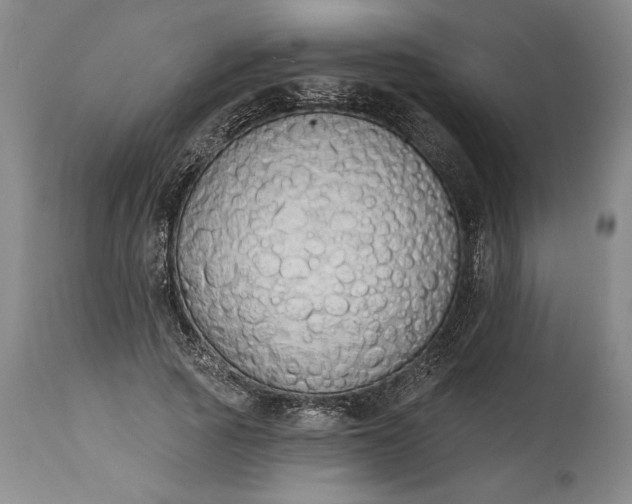 X0000115420737200911171422