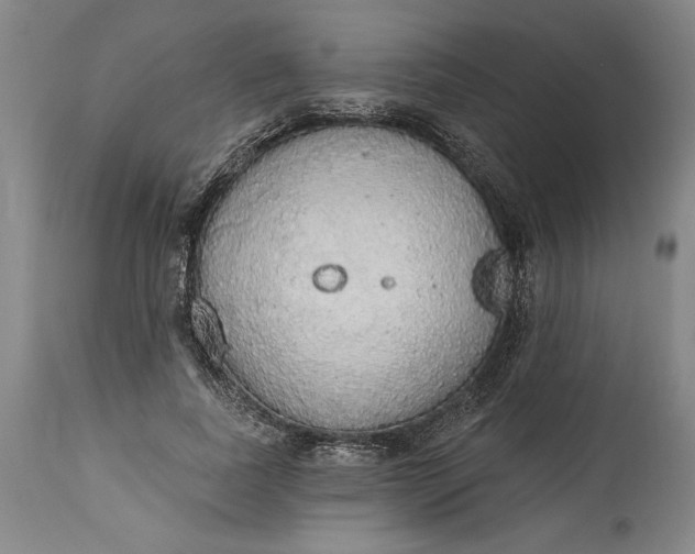 X0000115420739200911171422
