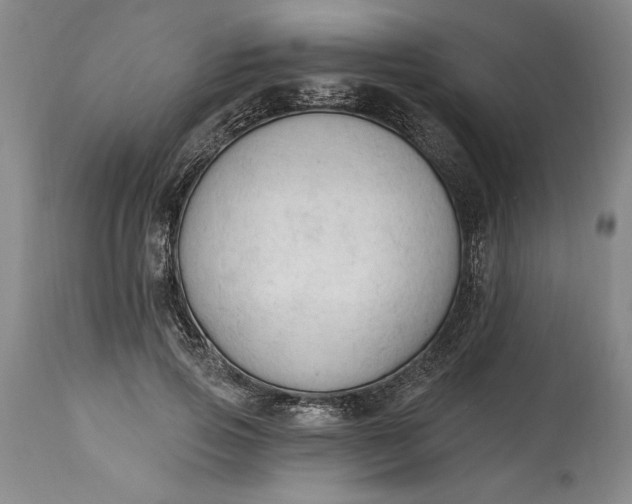 X0000115420741200911171422