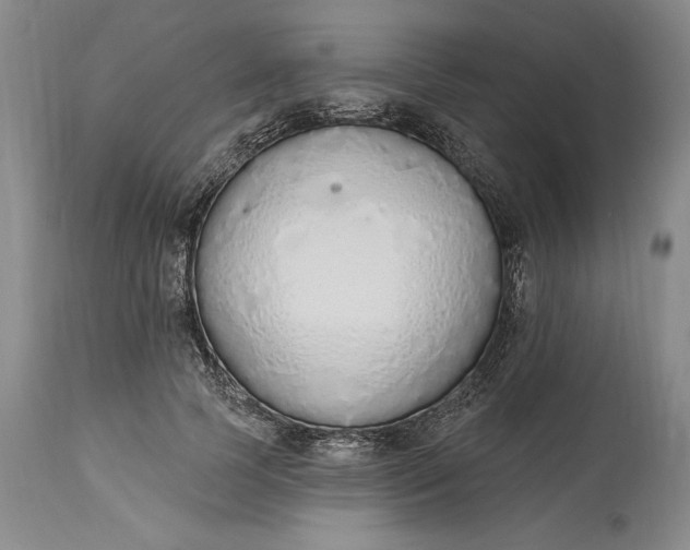 X0000115420745200911171422