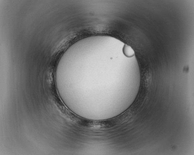 X0000115420746200911171422