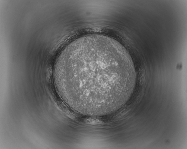 X0000115420747200911171422