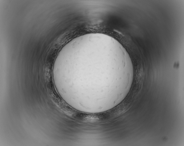 X0000115420749200911171422