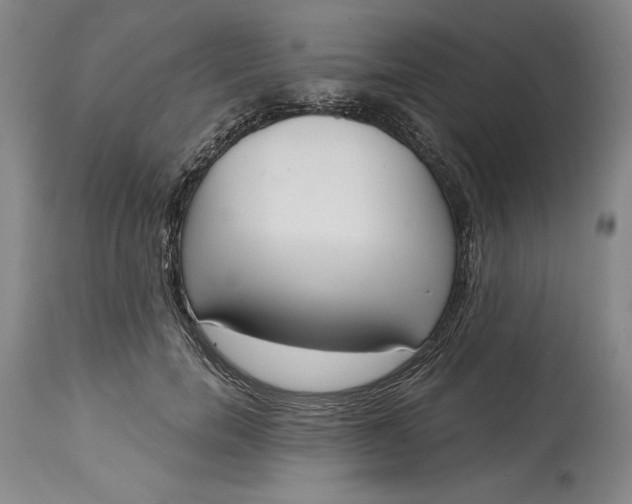 X0000115420750200911171423