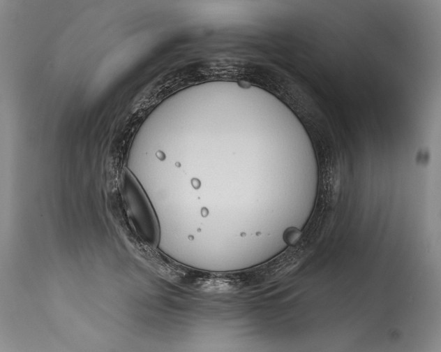 X0000115420751200911171423