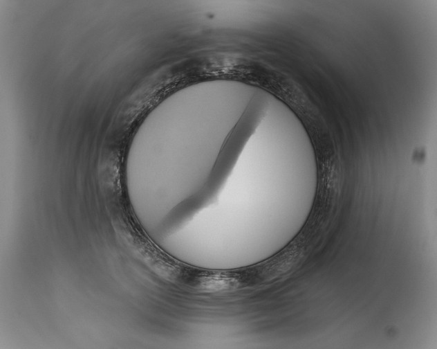 X0000115420754200911171423