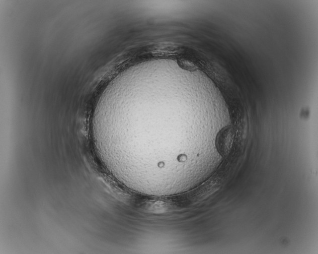 X0000115420755200911171423