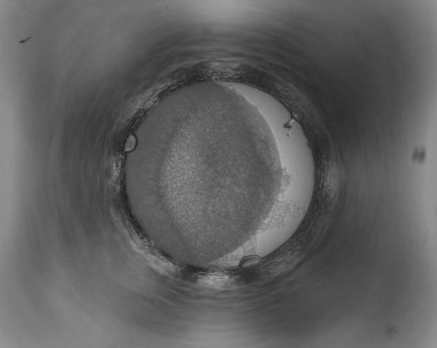 X0000115420759200911171423