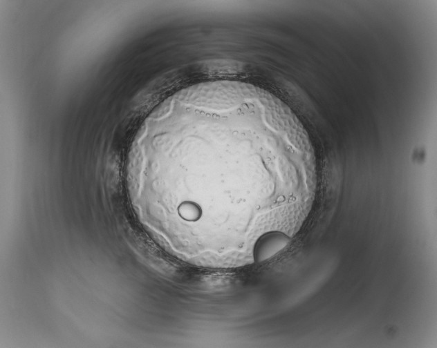 X0000115420761200911171423