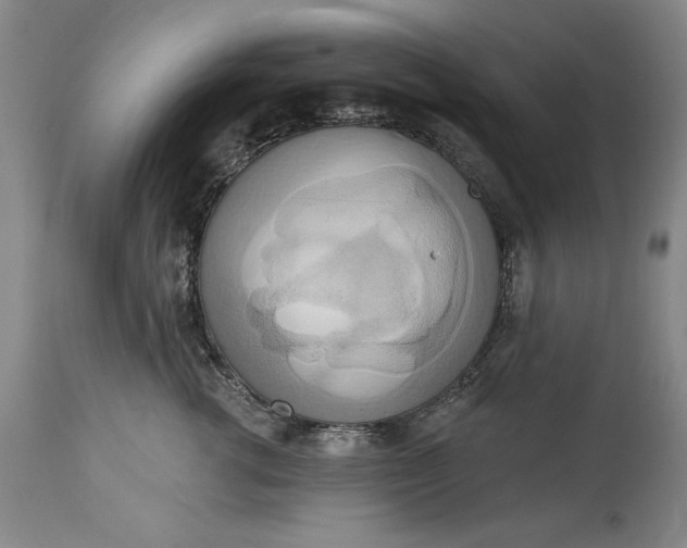 X0000115420762200911171423