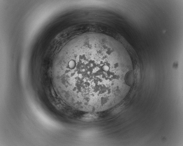 X0000115420765200911171423