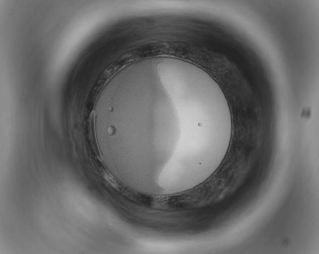 X0000115420766200911171423