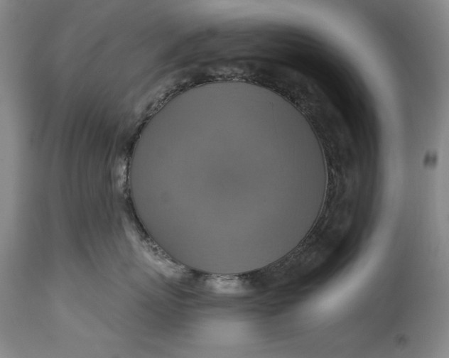 X0000115420767200911171423