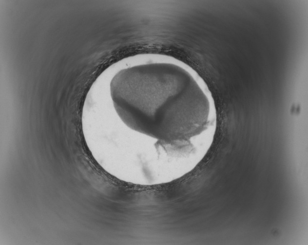 X0000115420769200911171422