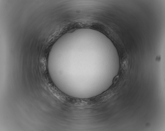 X0000115420772200911171422