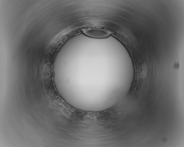 X0000115420773200911171422
