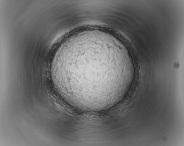 X0000115420775200911171422