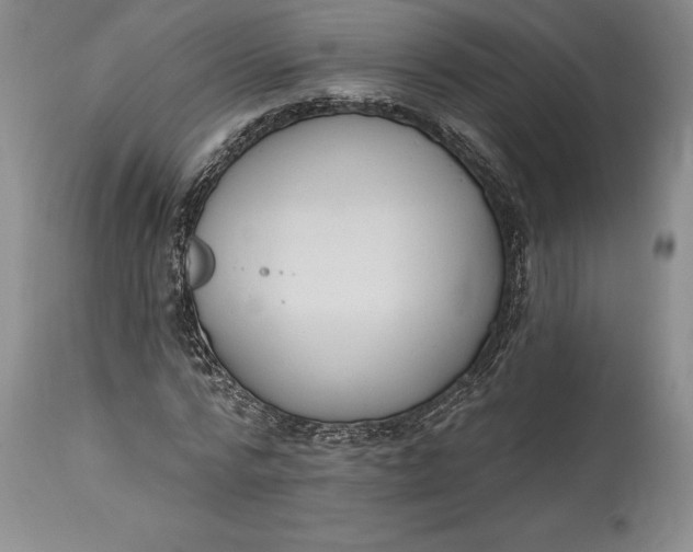 X0000115420776200911171422