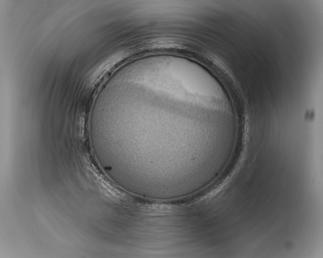 X0000115420777200911171422