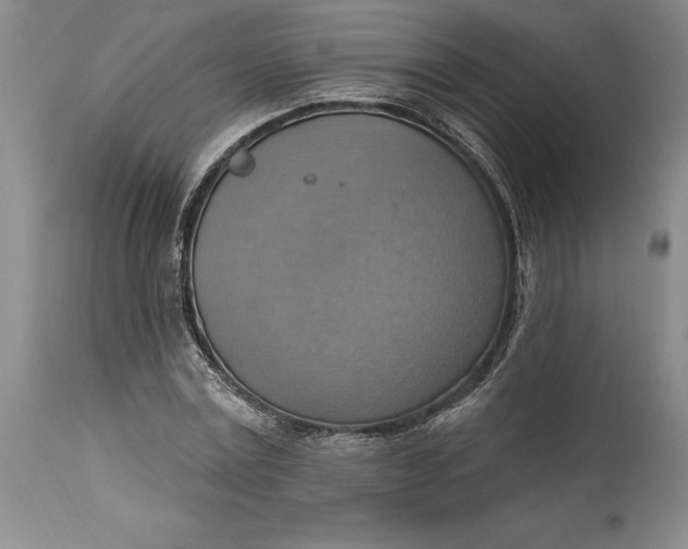 X0000115420779200911171422
