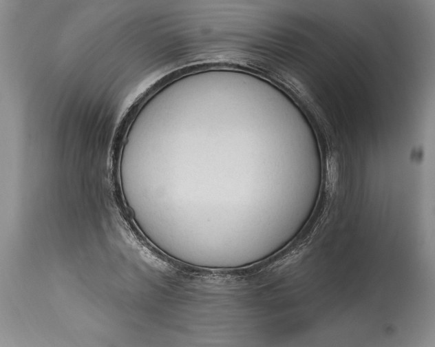 X0000115420780200911171422