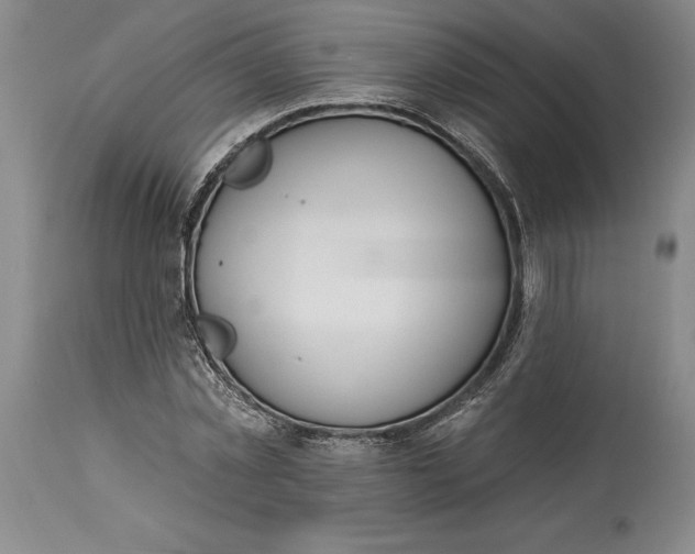 X0000115420781200911171422