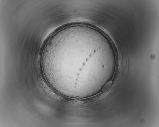 X0000115420783200911171422