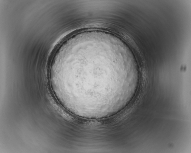 X0000115420784200911171422