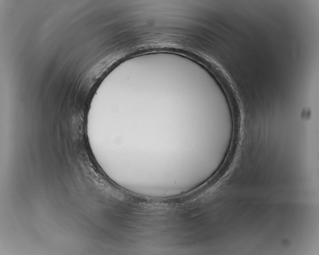 X0000115420785200911171422