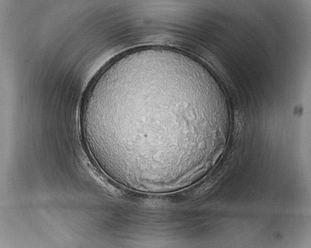 X0000115420788200911171422