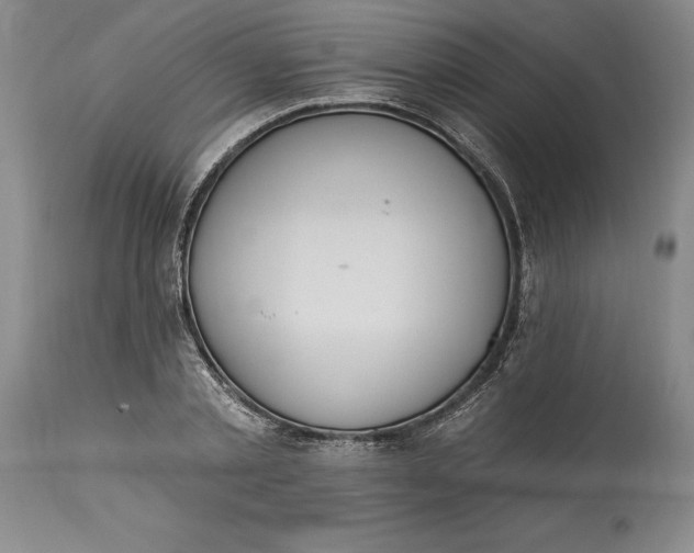 X0000115420789200911171422