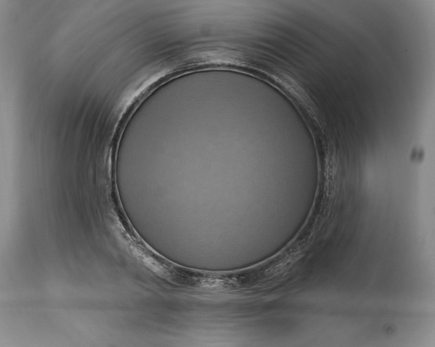 X0000115420790200911171422