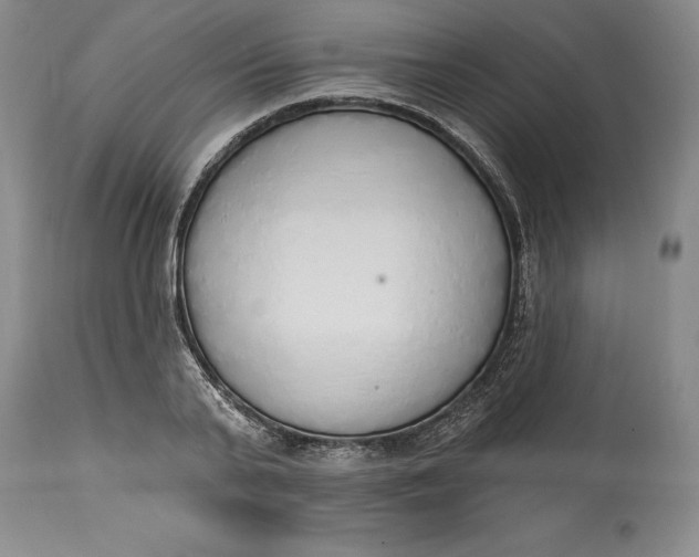 X0000115420791200911171422