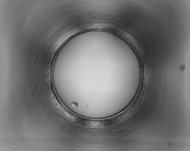 X0000115420794200911171422