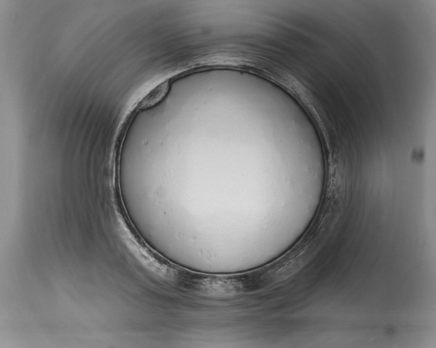 X0000115420795200911171422