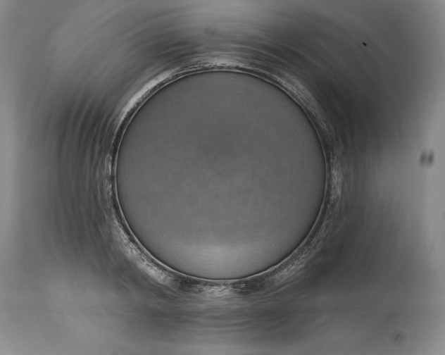 X0000115420798200911171422