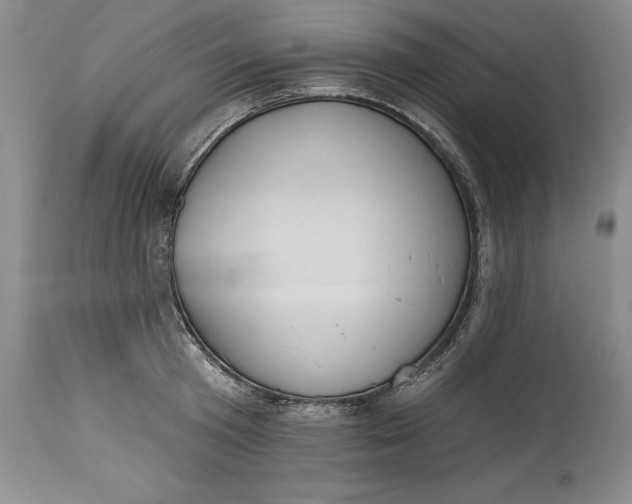X0000115420801200911171422