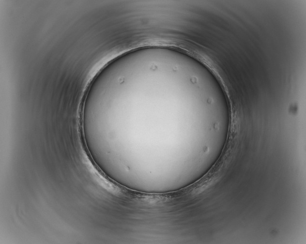 X0000115420803200911171422