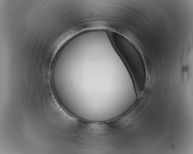 X0000115420805200911171422
