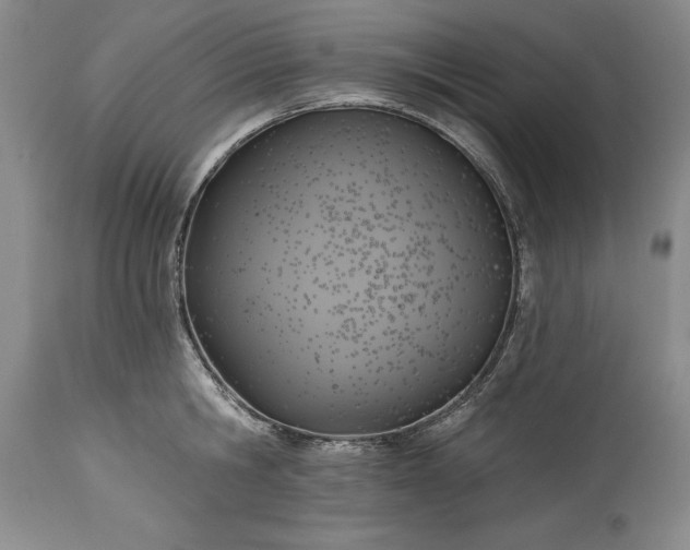 X0000115420806200911171422