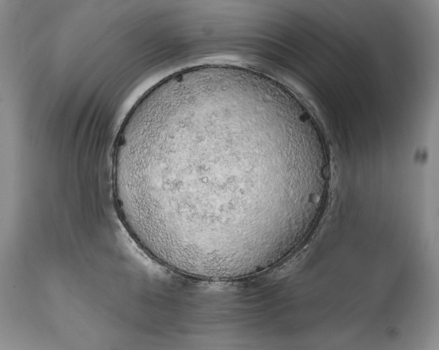 X0000115420808200911171422