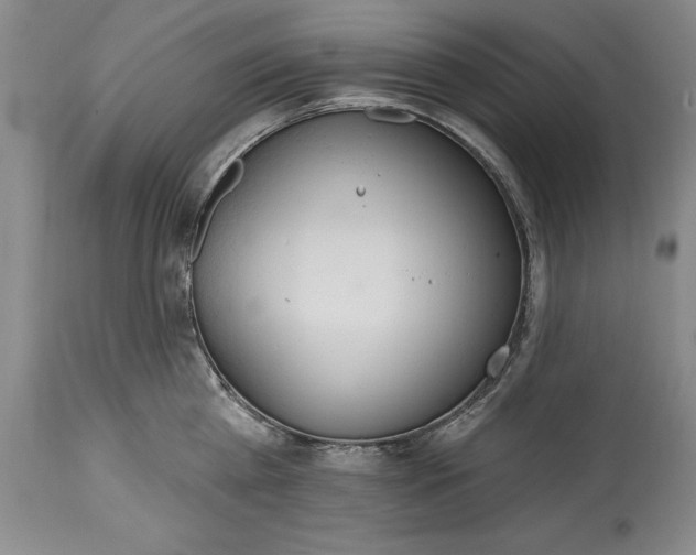 X0000115420809200911171422