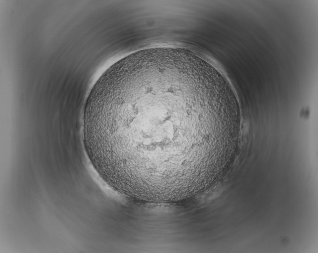 X0000115420811200911171422
