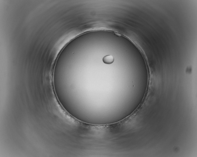 X0000115420813200911171421
